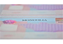 Монгол Улсад жуулчлах зорилгоор 30 хүртэл хоногоор ирэх гадаадын 34 улсын иргэнийг 2026 оныг дуустал визийн шаардлагаас түр чөлөөлөх шийдвэрийг Засгийн газрын 2025 оны 12 дүгээр 31-ний өдрийн хуралдаанаас гаргалаа.