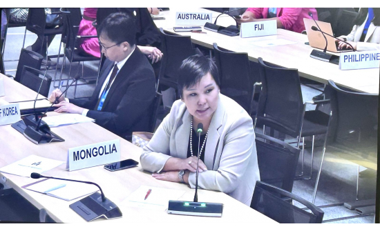 PERMANENT REPRESENTATIVE PRAISED THE CLOSE COOPERATION BETWEEN MONGOLIA AND IOM