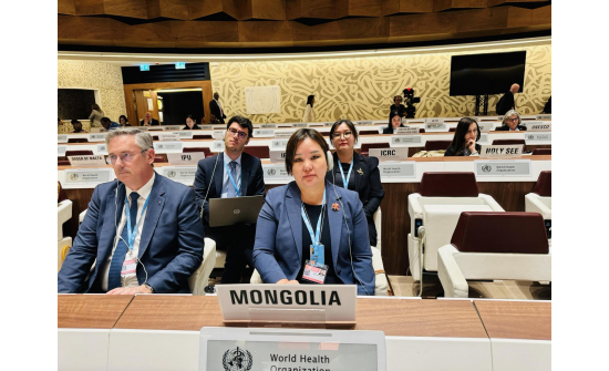MONGOLIA PARTICIPATES IN THE 78TH SESSION OF THE WORLD HEALTH ASSEMBLY