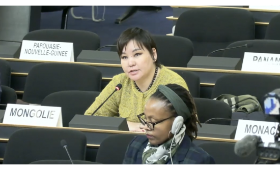 НҮБ-ЫН ХҮНИЙ ЭРХИЙН ЗӨВЛӨЛИЙН ХҮНИЙ ЭРХИЙН ТӨЛӨВ БАЙДЛЫГ ХЯНАН ХЭЛЭЛЦЭХ НЭГДСЭН ХЭЛЭЛЦҮҮЛЭГ (UPR) МЕХАНИЗМЫН АЖЛЫН ХЭСГИЙН 51 ДҮГЭЭР ХУРАЛДААН ЖЕНЕВ ХОТНОО БОЛЖ БАЙНА