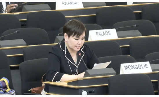 THE 61ST SESSION OF THE UN HUMAN RIGHTS COUNCIL IS TAKING PLACE IN GENEVA