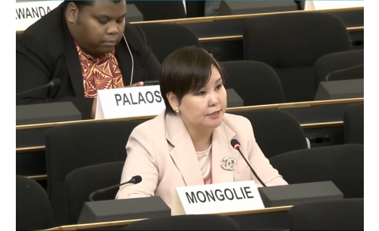 UPR WORKING GROUP HOLDS ITS FIFTY SECOND SESSION IN GENEVA
