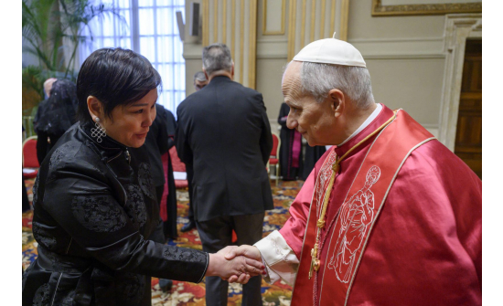 POPE LEO RECEIVED AMBASSADORS