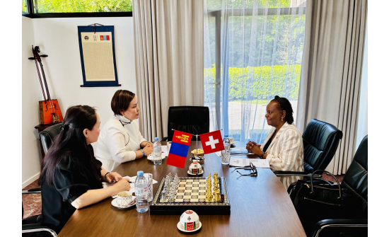 POTENTIAL COOPERATION BETWEEN MONGOLIA AND THE INTERNATIONAL TRADE CENTER (ITC) WAS DISCUSSED
