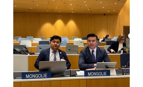 MONGOLIAN DELEGATION IS PARTICIPATING THE THIRTY-FOURTH SESSION OF THE COMMITTEE ON DEVELOPMENT AND INTELLECTUAL PROPERTY