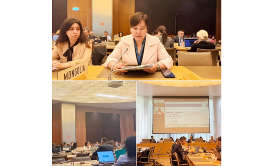 WTO COMMITTEE ON TRADE FACILITATION HOLDS DEDICATED SESSION ON TRANSIT