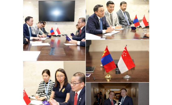 Chairman D. Amarbayasgalan: We are committed to enhancing political dialogue with Singapore at all levels and expanding the scope of our cooperation