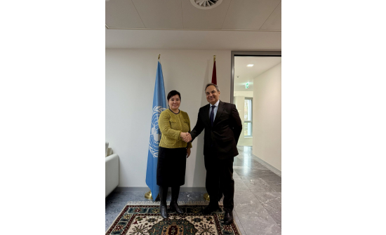 БАЙНГЫН ТӨЛӨӨЛӨГЧ ШВЕЙЦАР,  ЕГИПЕТ УЛСЫН БАЙНГЫН ТӨЛӨӨЛӨГЧТЭЙ УУЛЗАВ