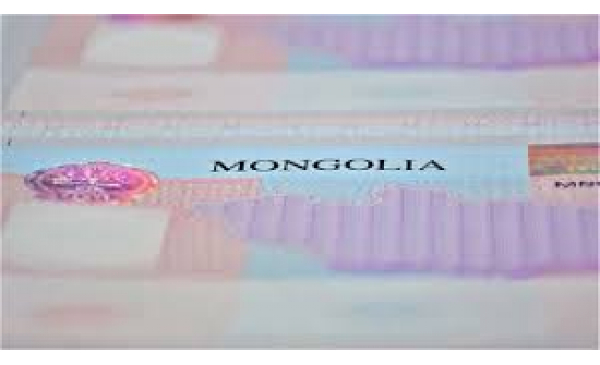 Монгол Улсад жуулчлах зорилгоор 30 хүртэл хоногоор ирэх гадаадын 34 улсын иргэнийг 2026 оныг дуустал визийн шаардлагаас түр чөлөөлөх шийдвэрийг Засгийн газрын 2025 оны 12 дүгээр 31-ний өдрийн хуралдаанаас гаргалаа.