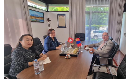 MEETING HELD WITH THE CHIEF OF THE ASIA AND PACIFIC SECTION, OFFICE OF THE UN HIGH COMMISSIONER FOR HUMAN RIGHTS /OHCHR/