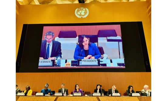 THE PERMANENT REPRESENTATIVE PARTICIPATED IN THE SEVENTH SESSION OF THE INTERGOVERNMENTAL GROUP OF EXPERTS ON E-COMMERCE AND THE DIGITAL ECONOMY