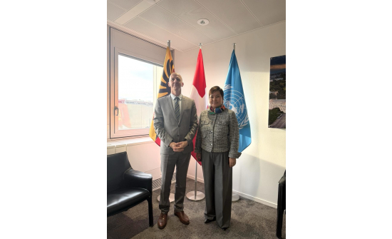 PERMANENT REPRESENTATIVE MET WITH THE PERMANENT REPRESENTATIVES OF SWITZERLAND AND EGYPT