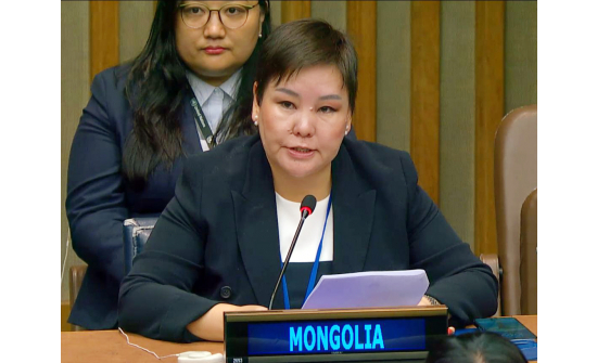 PERMANENT REPRESENTATIVE OF MONGOLIA ADDRESSESS  FIRST COMMITTEE OF 80TH UN GENERAL ASSEMBLY
