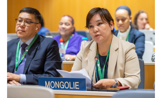 THE DELEGATION OF MONGOLIA IS ATTENDING THE 66TH SERIES OF MEETINGS OF THE ASSEMBLIES OF THE MEMBER STATES OF WIPO