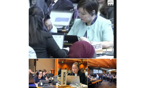 MEETING OF THE WTO GENERAL COUNCIL CONCLUDES