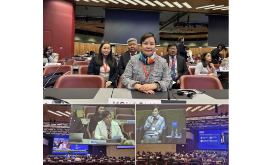 THE 116th SESSION OF THE IOM COUNCIL CONVENES IN GENEVA