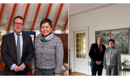 PERMANENT REPRESENTATIVE MET WITH THE PERMANENT REPRESENTATIVES OF THE UNITED KINGDOM AND GERMANY