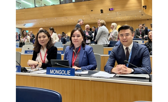 PERMANENT REPRESENTATIVE ATTENDS THE WIPO DIPLOMATIC CONFERENCE