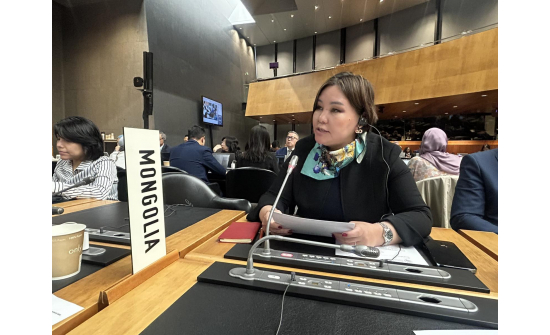 GENERAL COUNCIL OF THE WTO CONVENED