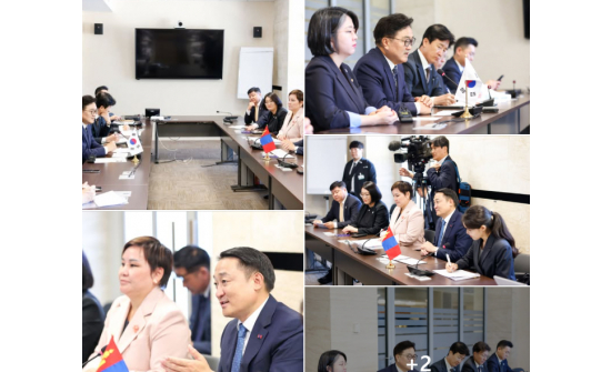 Chairman D. Amarbayasgalan: We request that the issue of Mongolian citizens being turned back at the South Korean border be resolved