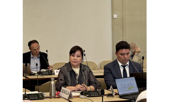 PARTICIPATION IN THE AETR WORKING PARTY SESSION