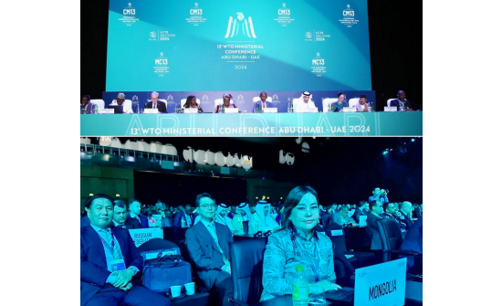 THE 13TH WTO MINISTERIAL CONFERENCE CONVENES IN ABU DHABI