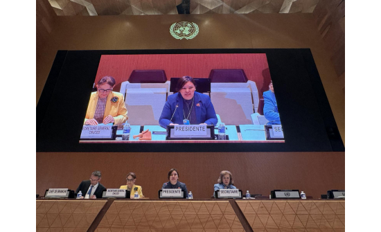 H.E. MRS. DAVAASUREN GERELMAA, AMBASSADOR AND PERMANENT REPRESENTATIVE, DELIVERED THE OPENING REMARKS AT THE 8TH SESSION OF THE INTERGOVERNMENTAL GROUP OF EXPERTS ON E-COMMERCE AND THE DIGITAL ECONOMY
